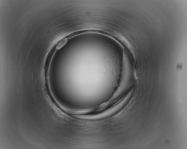X0000095901072200801111204