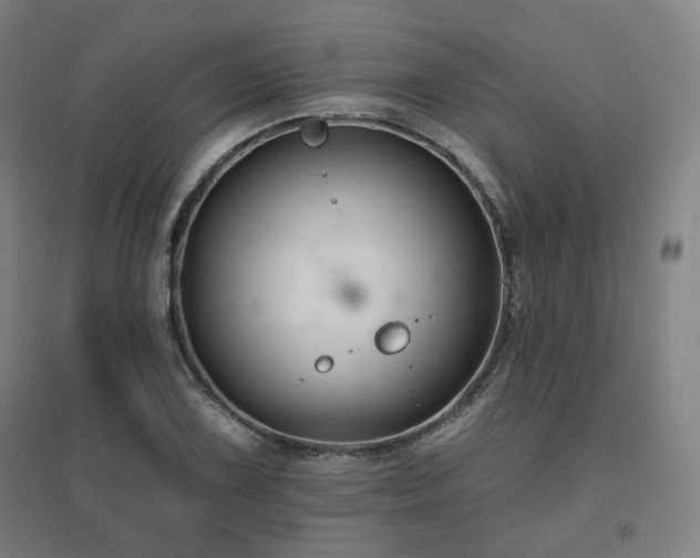 X0000095901075200801111204