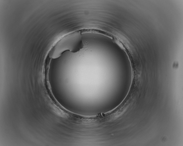 X0000095901076200801111204