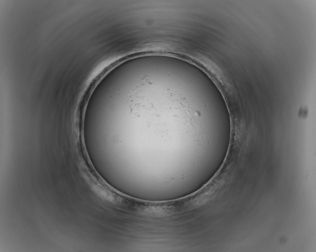 X0000095901078200801111204