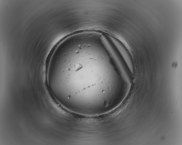 X0000095901079200801111204