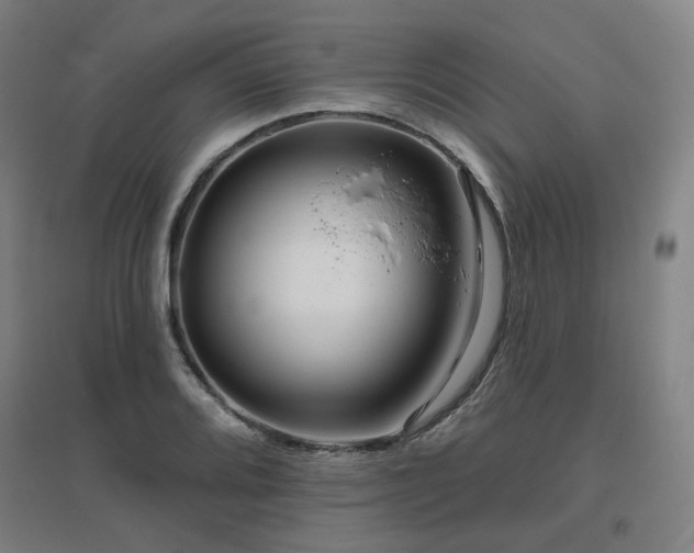 X0000095901080200801111204