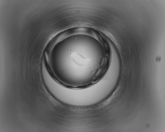 X0000095901081200801111204
