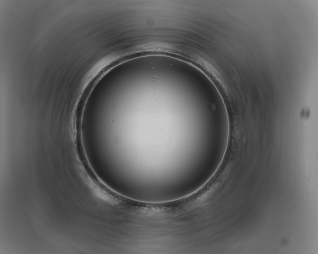 X0000095901082200801111204