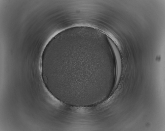 X0000095901084200801111204