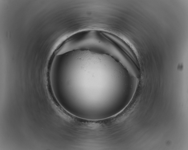 X0000095901085200801111203