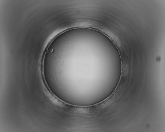 X0000095901086200801111203
