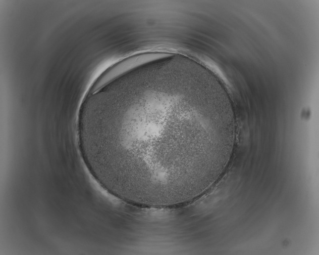 X0000095901087200801111203