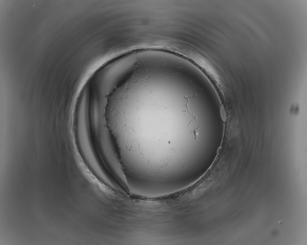 X0000095901088200801111203