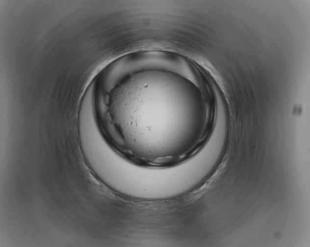 X0000095901089200801111203