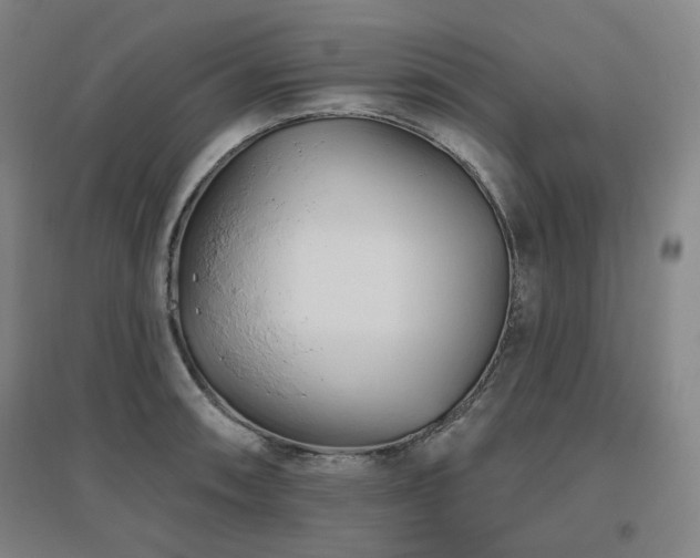 X0000095901090200801111203