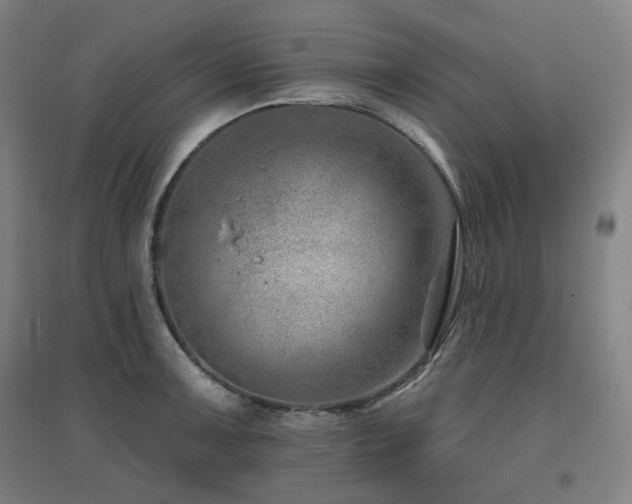X0000095901091200801111203