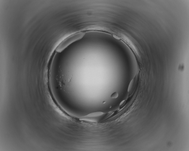 X0000095901092200801111203