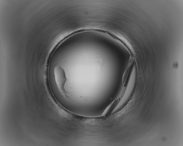 X0000095901093200801111203