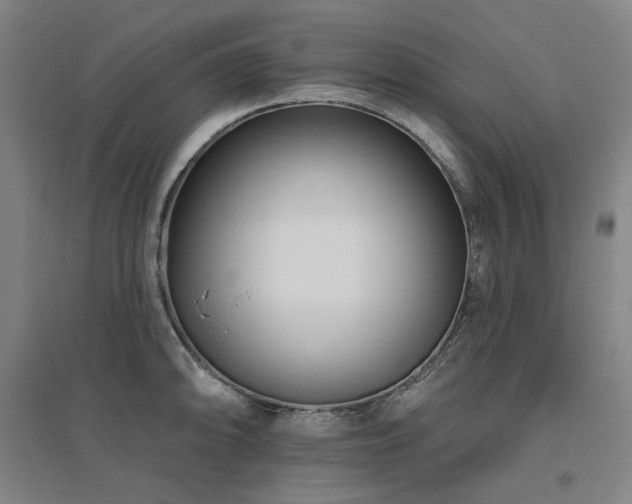 X0000095901094200801111203