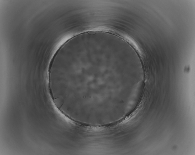 X0000095901095200801111203