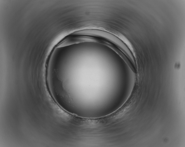 X0000095901096200801111203