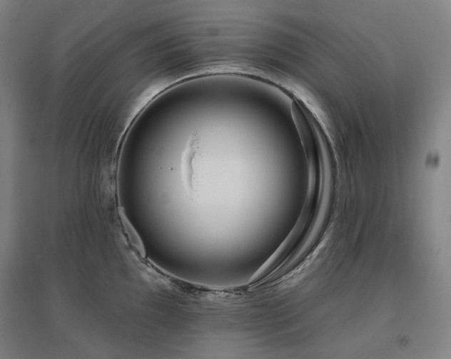 X0000095901097200801111203