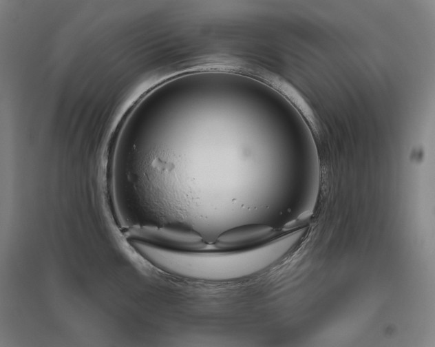 X0000095901099200801111203