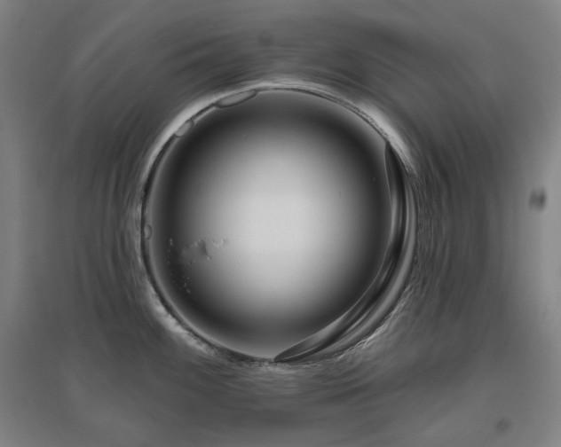 X0000095901100200801111203