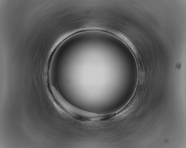 X0000095901101200801111203