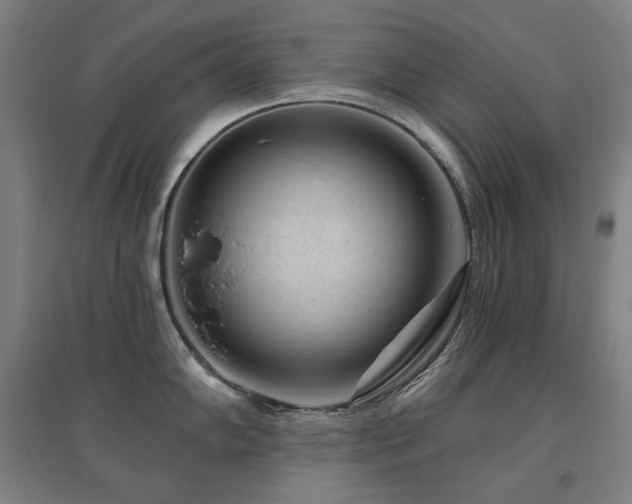 X0000095901102200801111203