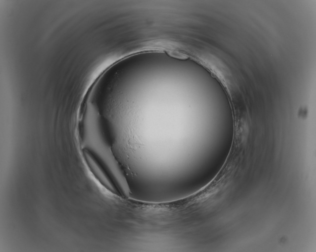X0000095901103200801111203