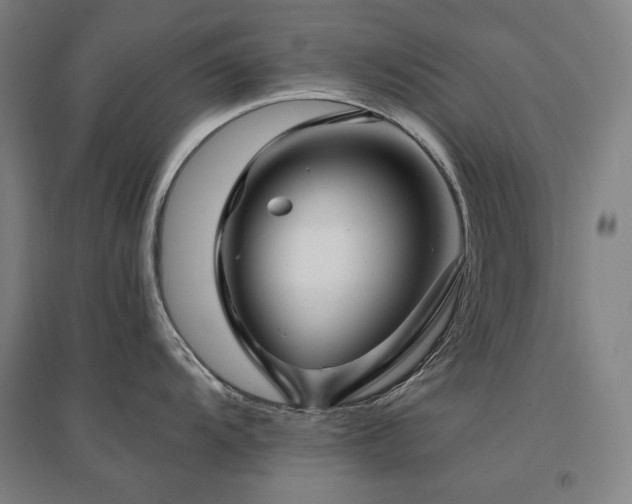 X0000095901104200801111203