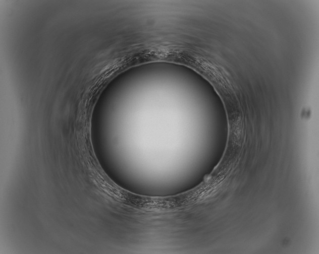 X0000095901105200801111202