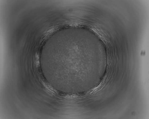 X0000095901106200801111202