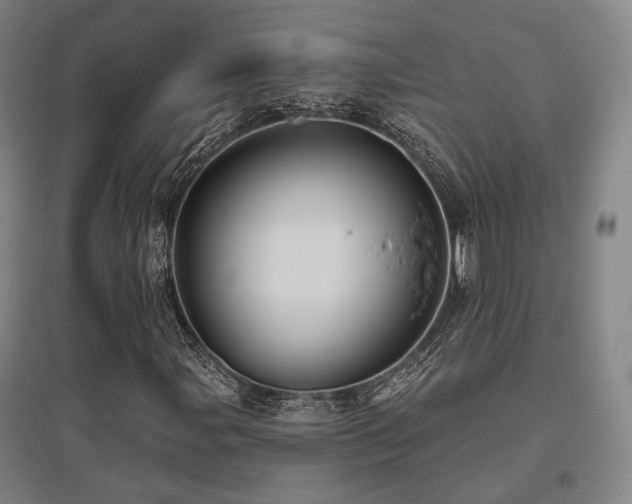 X0000095901107200801111202