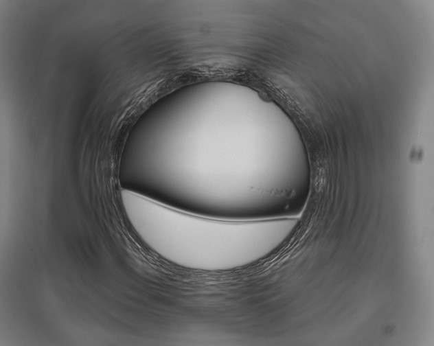X0000095901108200801111202