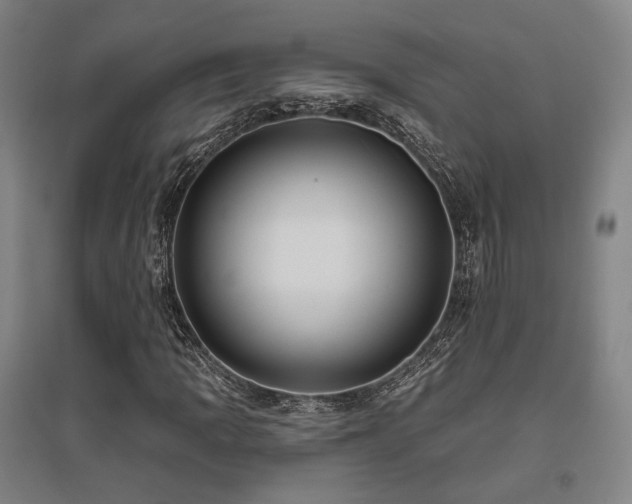 X0000095901109200801111202