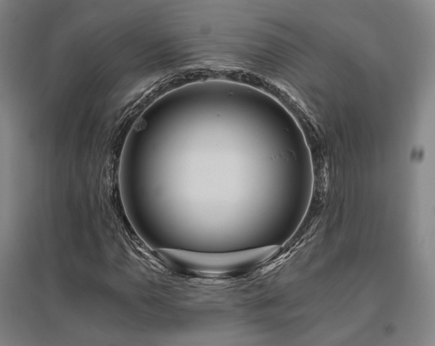 X0000095901110200801111202