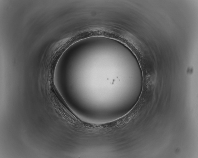 X0000095901111200801111202