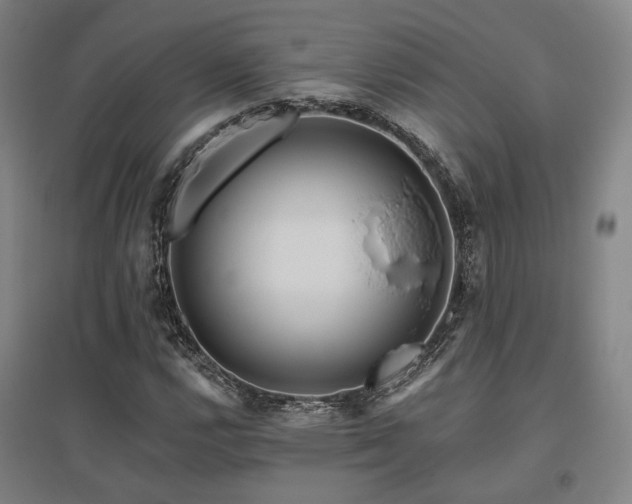 X0000095901112200801111203