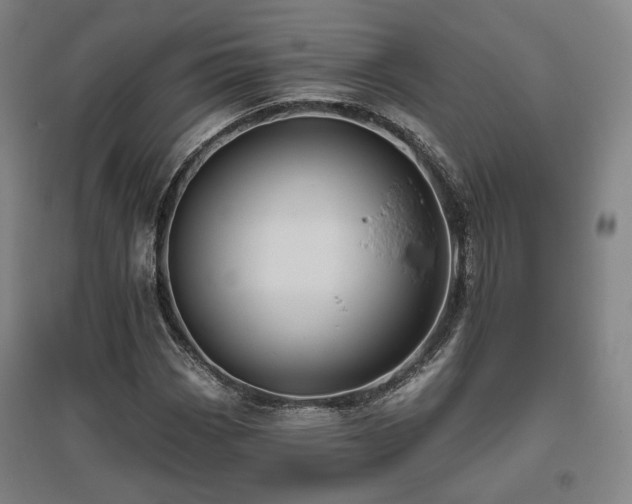 X0000095901113200801111203