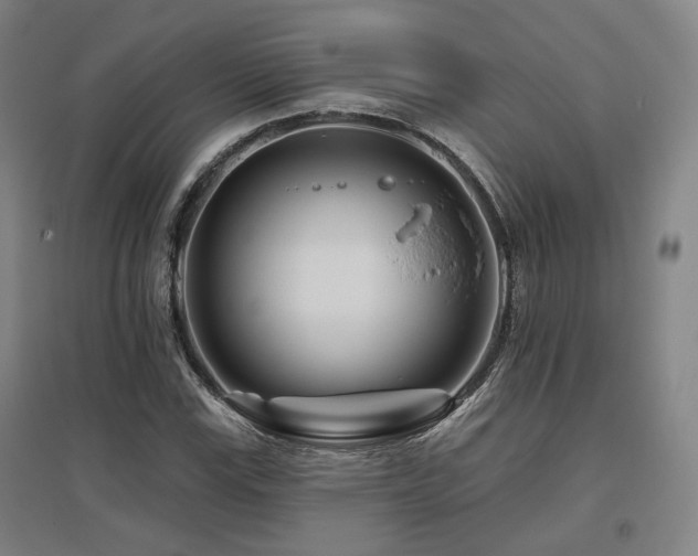 X0000095901115200801111203