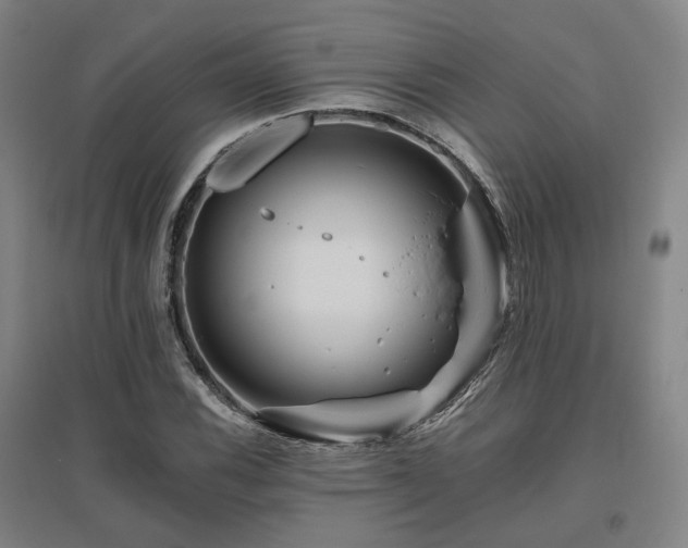 X0000095901116200801111203