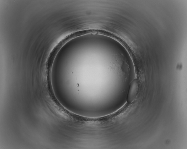X0000095901118200801111203