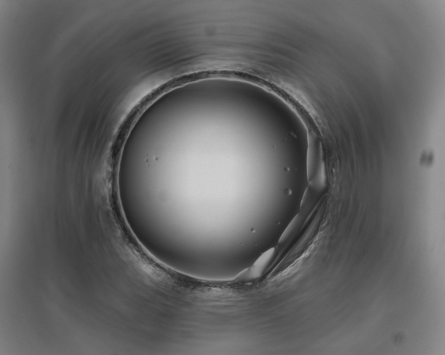 X0000095901119200801111203