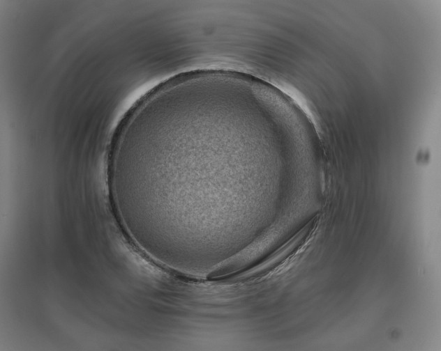 X0000095901120200801111203