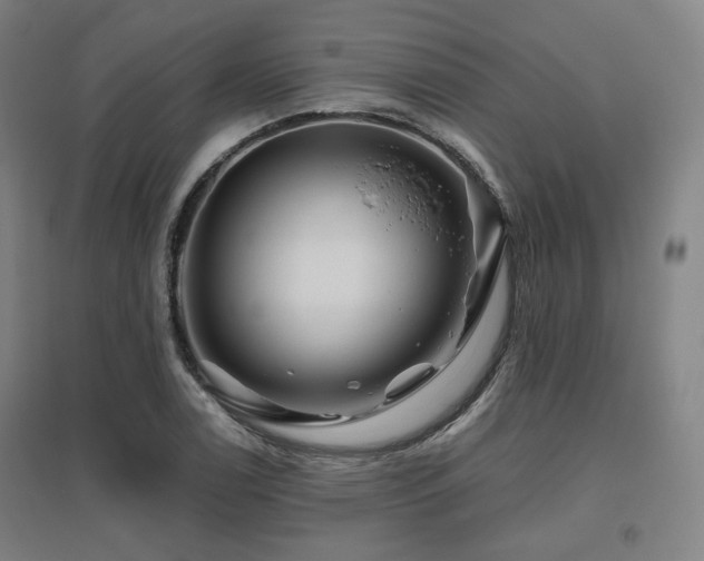 X0000095901122200801111203