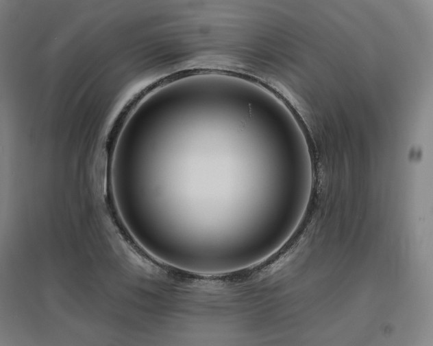 X0000095901123200801111203