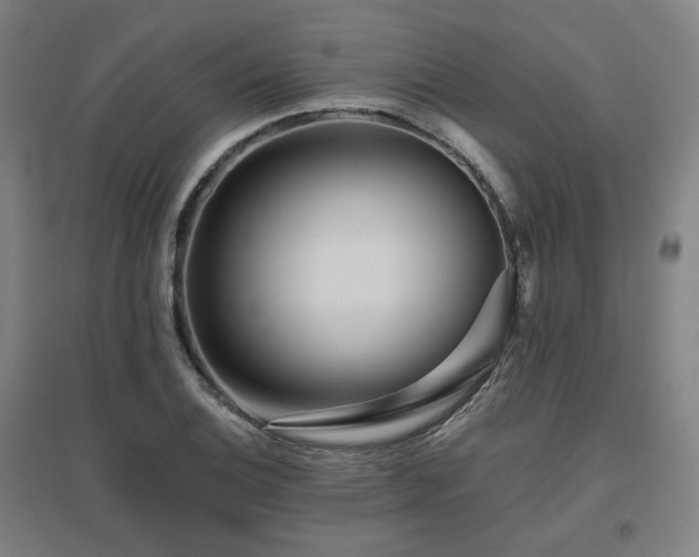X0000095901124200801111203