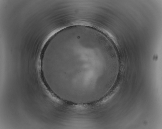 X0000095901125200801111203