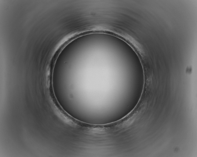 X0000095901126200801111203