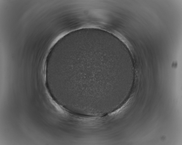 X0000095901127200801111203