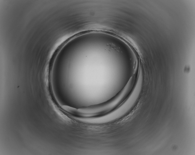 X0000095901128200801111203