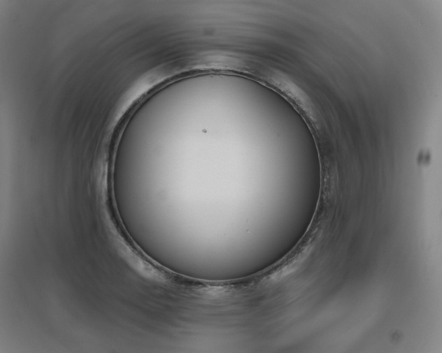 X0000095901130200801111203